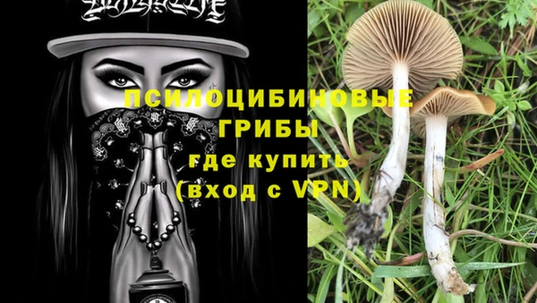 бутират Алзамай