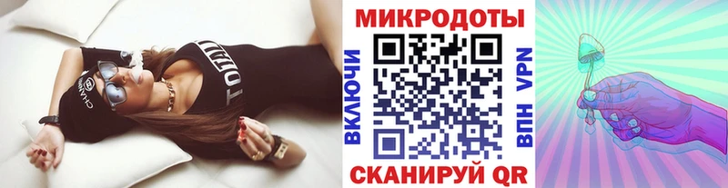 Псилоцибиновые грибы Psilocybine cubensis  Зубцов 